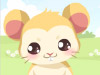 Hamster Care Game