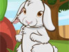 Pet Bunny Makeover Game